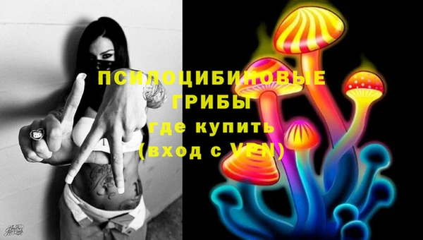 spice Белокуриха