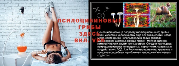 spice Белокуриха