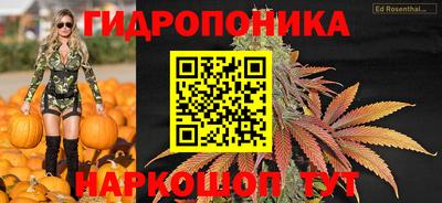 крисы Владикавказ