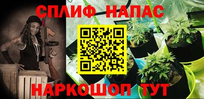 jwh Апшеронск