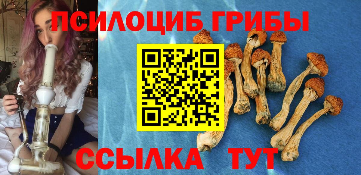 Псилоцибиновые грибы Magic Shrooms  Псилоцибиновые грибы GOLDEN TEACHER  Воскресенск  Вход с VPN 